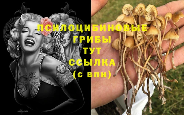 ECSTASY Баксан